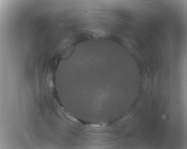 X0000082200962200701270114