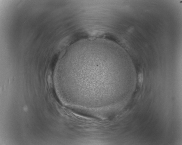 X0000082200963200701270114