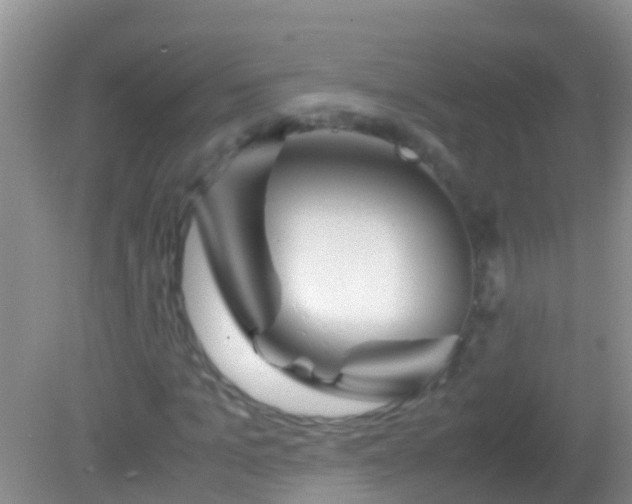 X0000082200965200701270114