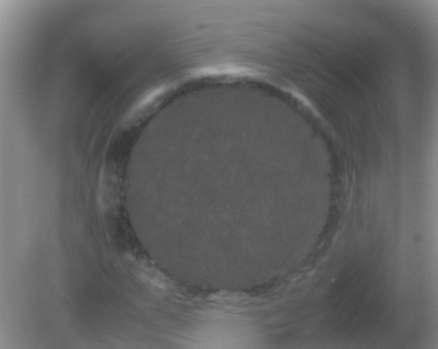 X0000082200967200701270114