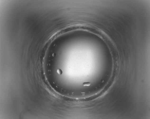 X0000082200969200701270114