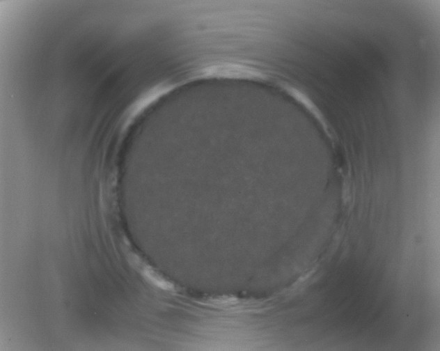 X0000082200971200701270114