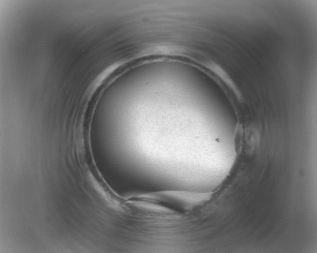 X0000082200972200701270114