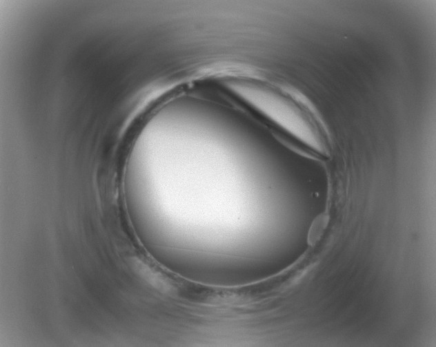 X0000082200973200701270114