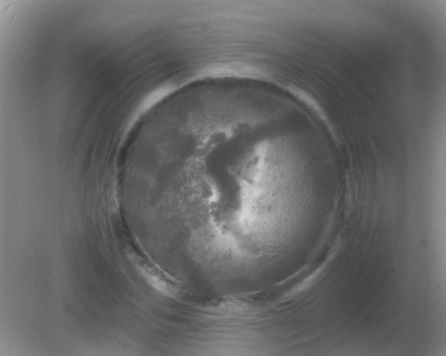 X0000082200974200701270114