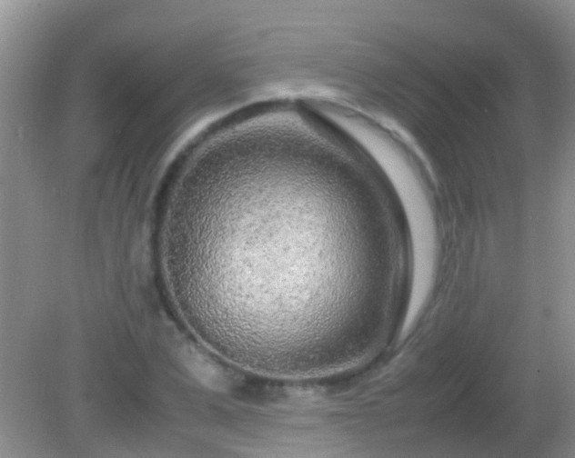 X0000082200975200701270114