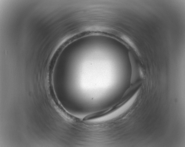 X0000082200976200701270114