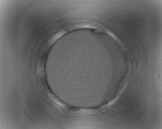 X0000082200977200701270114