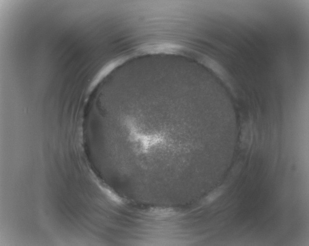 X0000082200978200701270114