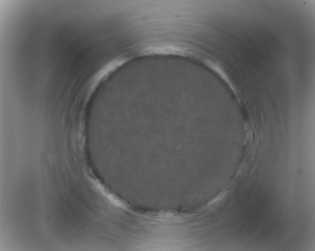 X0000082200979200701270114