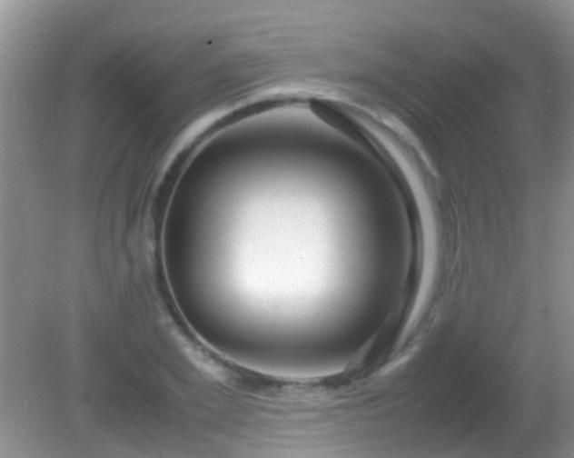 X0000082200981200701270114