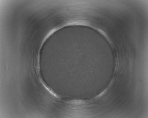 X0000082200982200701270114