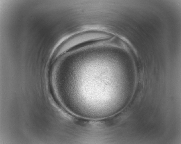 X0000082200983200701270114