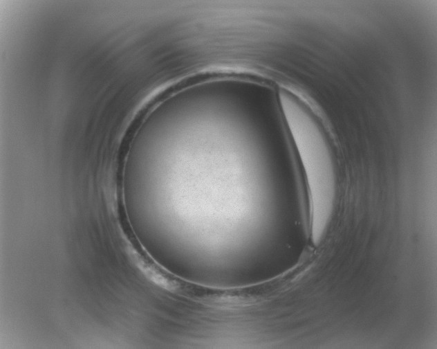 X0000082200984200701270114