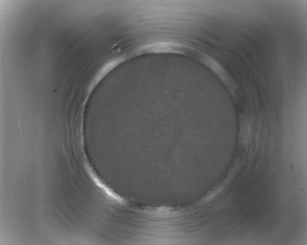 X0000082200986200701270114