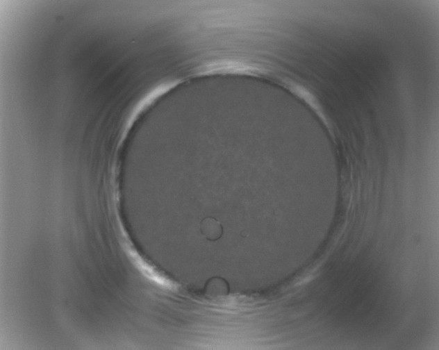 X0000082200987200701270114