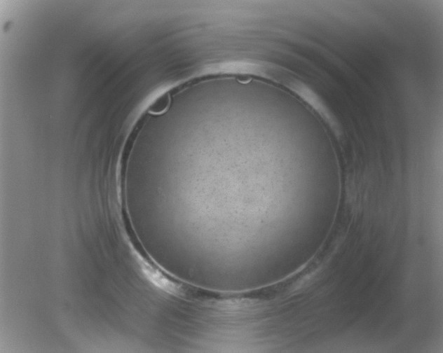 X0000082200988200701270113