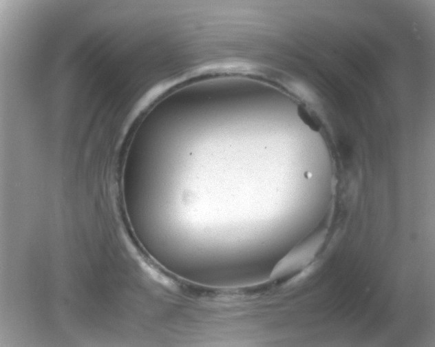 X0000082200989200701270113