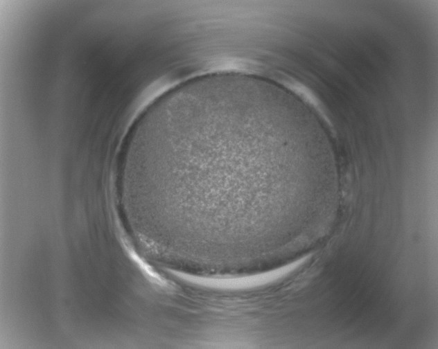 X0000082200991200701270113