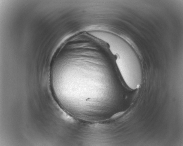 X0000082200992200701270113