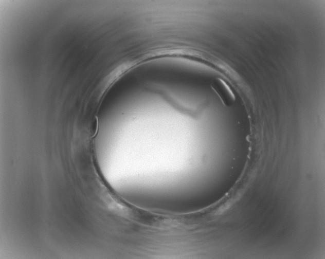 X0000082200993200701270113