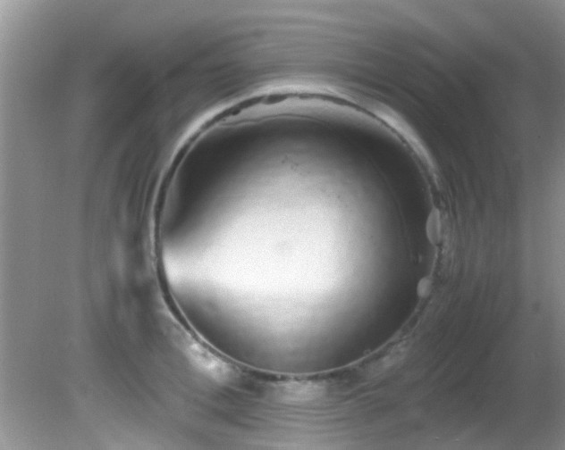 X0000082200996200701270113