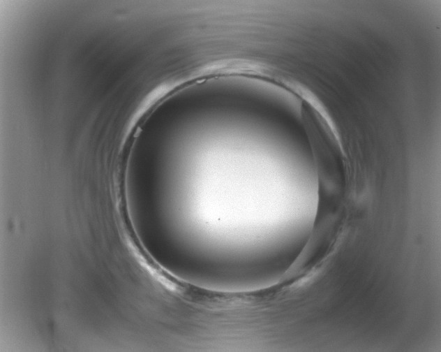 X0000082200997200701270113