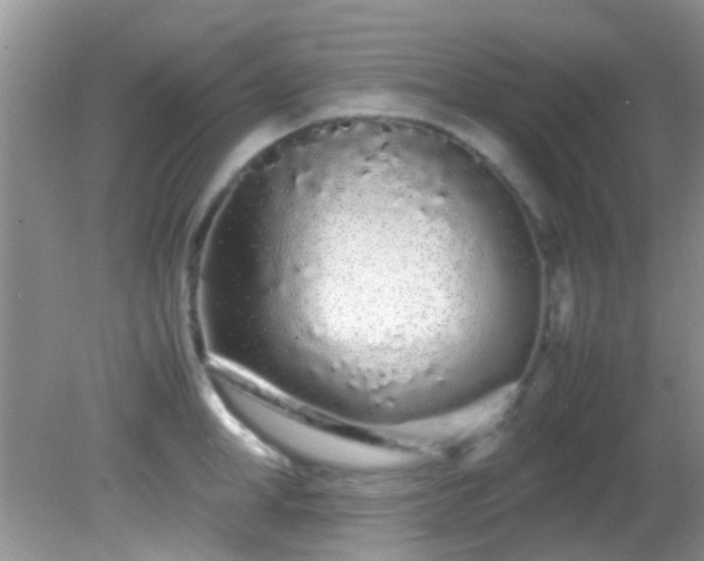 X0000082200998200701270113