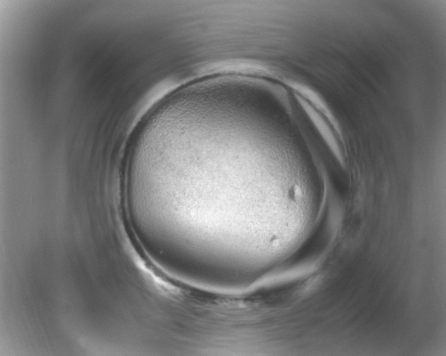 X0000082200999200701270113