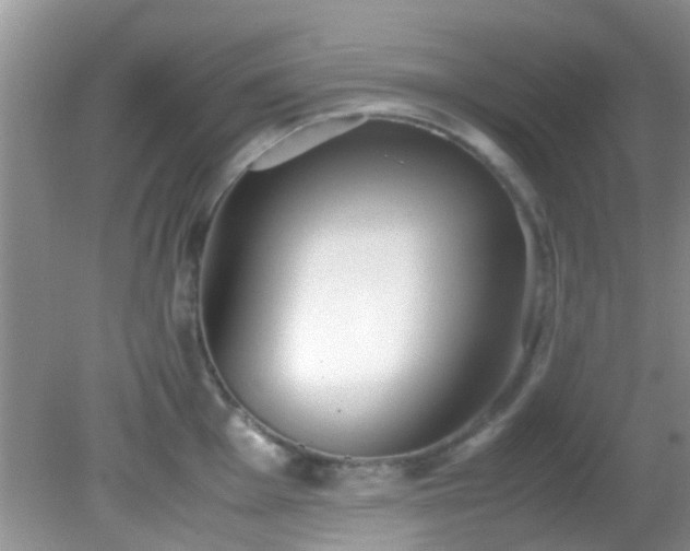 X0000082201001200701270113