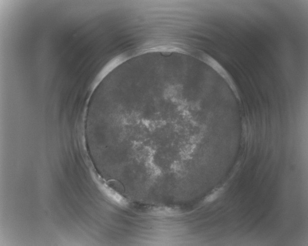 X0000082201002200701270113