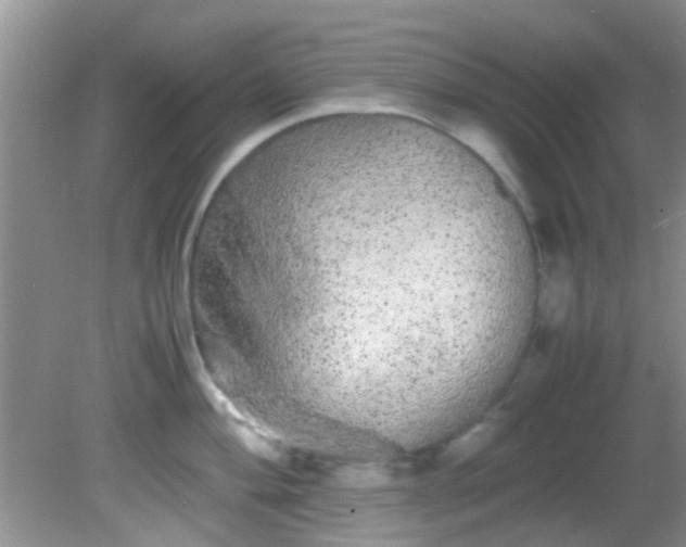 X0000082201004200701270113