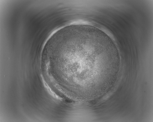 X0000082201008200701270113