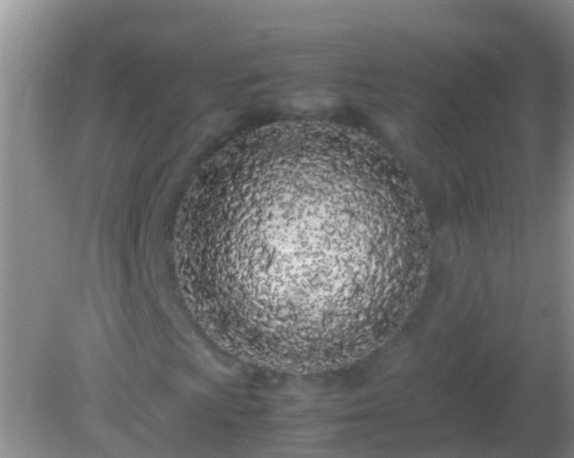 X0000082201009200701270112