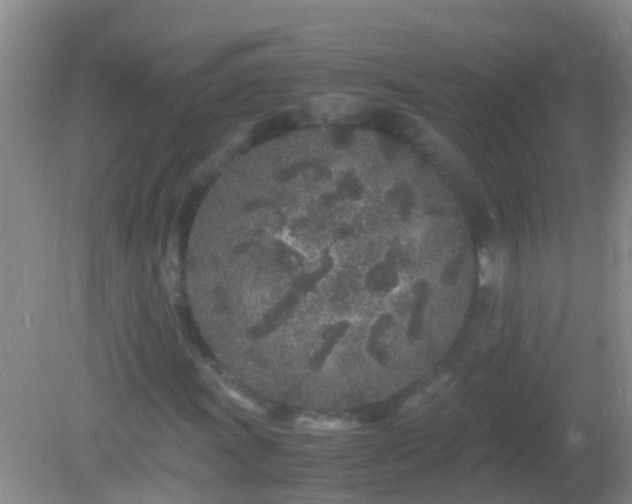 X0000082201011200701270112