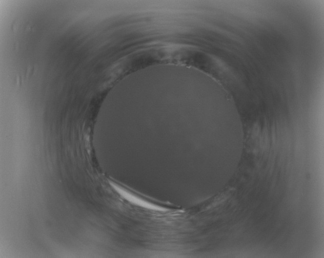 X0000082201013200701270112