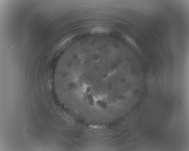 X0000082201015200701270112