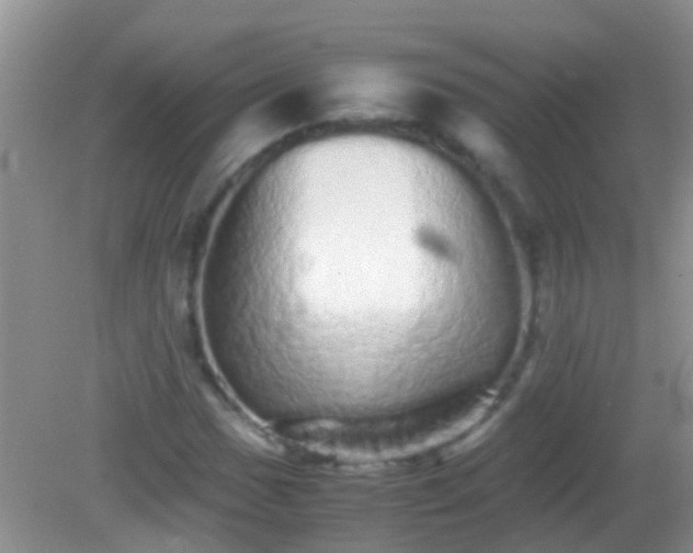 X0000082201017200701270112