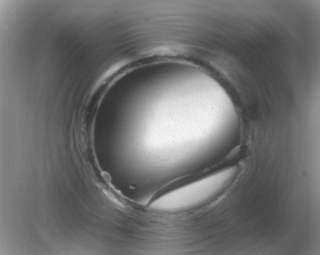 X0000082201018200701270112