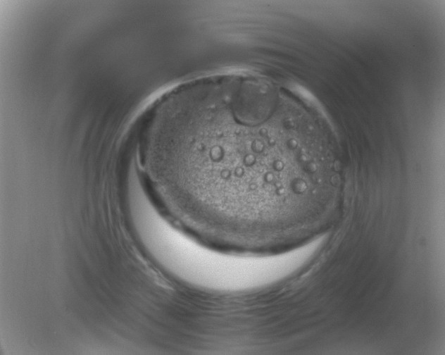 X0000082201019200701270113