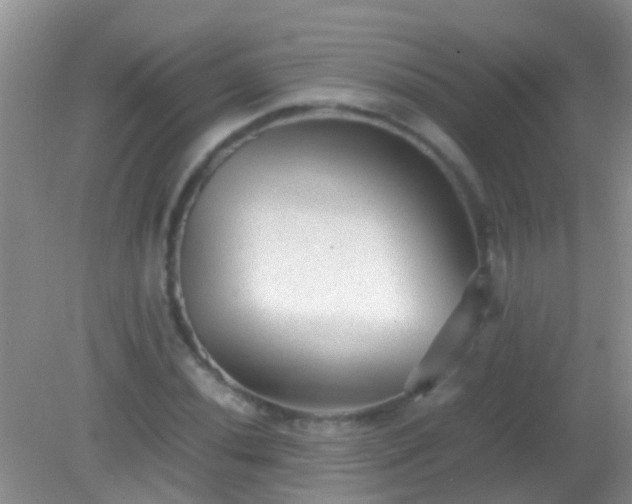 X0000082201020200701270113