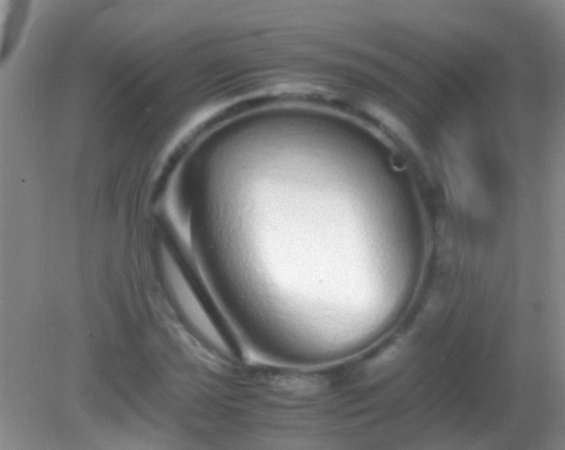 X0000082201021200701270113