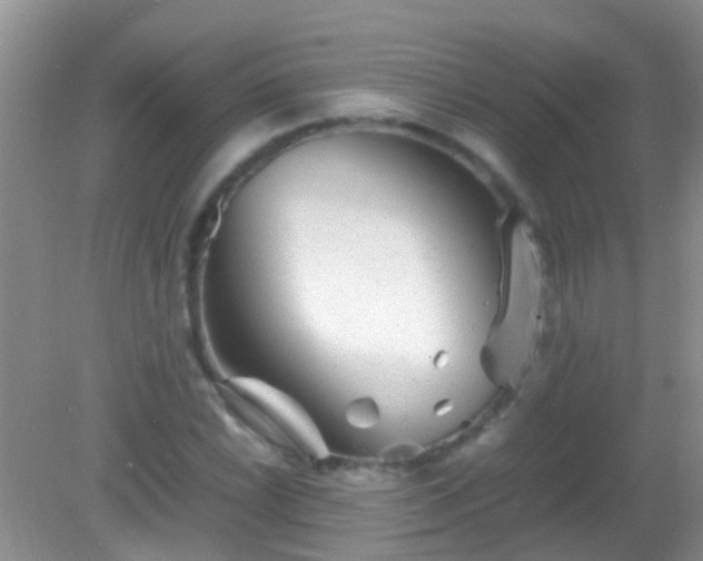 X0000082201022200701270113