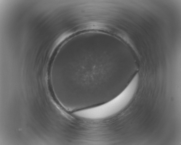 X0000082201024200701270113