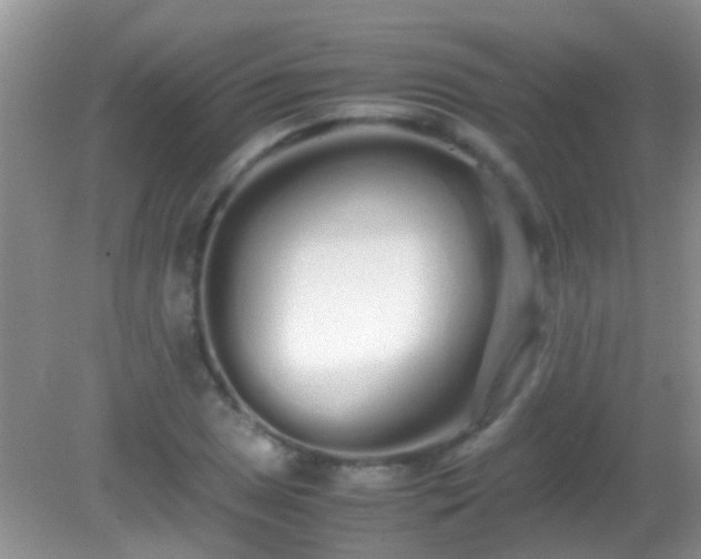 X0000082201025200701270113