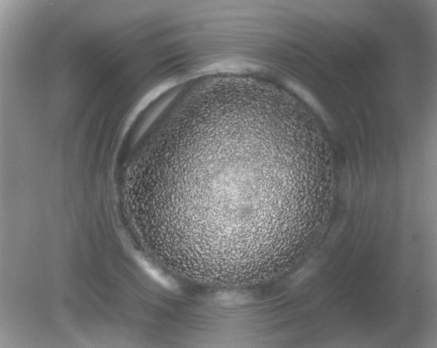 X0000082201026200701270113