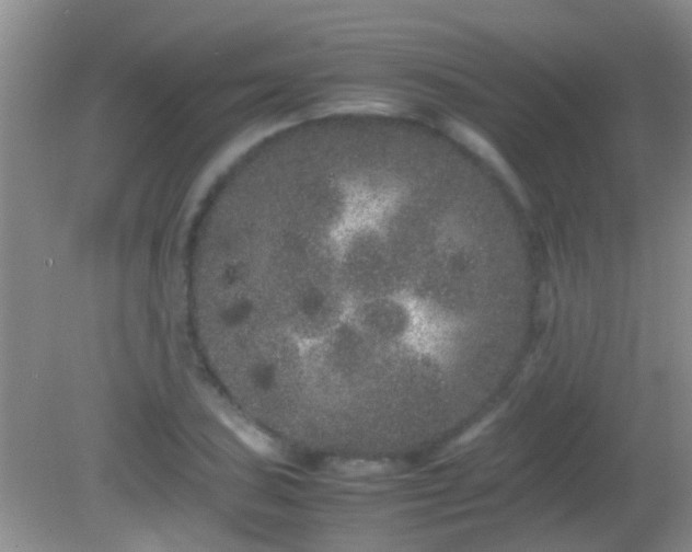 X0000082201027200701270113