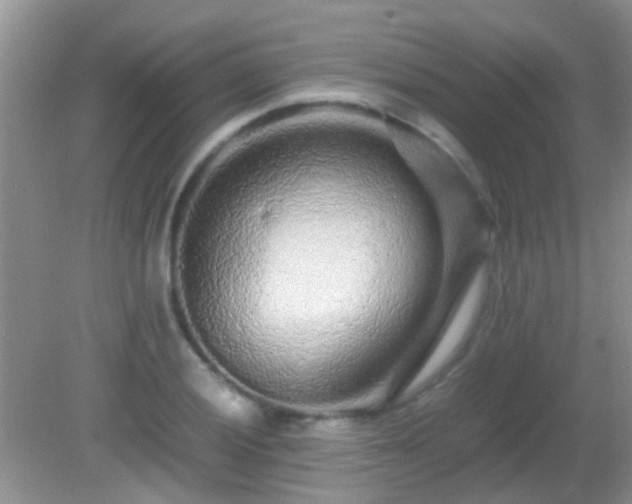 X0000082201028200701270113