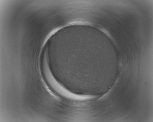 X0000082201030200701270113