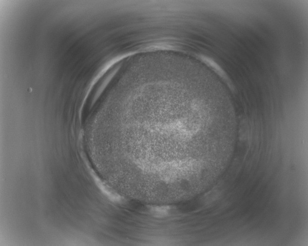 X0000082201031200701270113